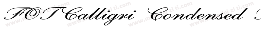 FOTCalligri Condensed Bold ItalicVe字体转换